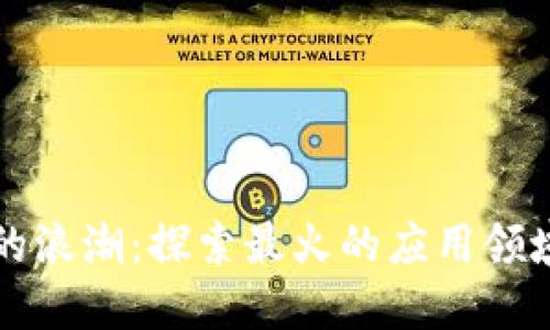 区块链时代的浪潮：探索最火的应用领域与未来趋势