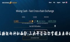 揭开区块链的神秘面纱：