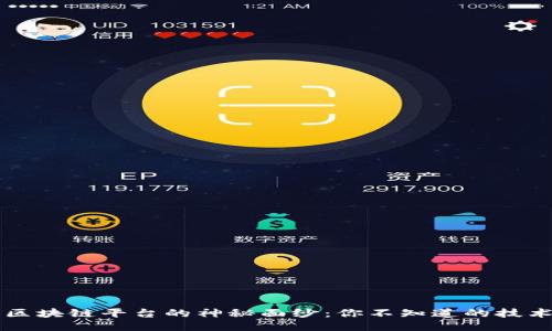 揭开区块链平台的神秘面纱：你不知道的技术应用