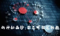 揭开区块链的神秘面纱：