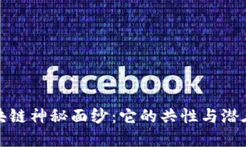 揭开区块链神秘面纱：它的共性与潜在可能性