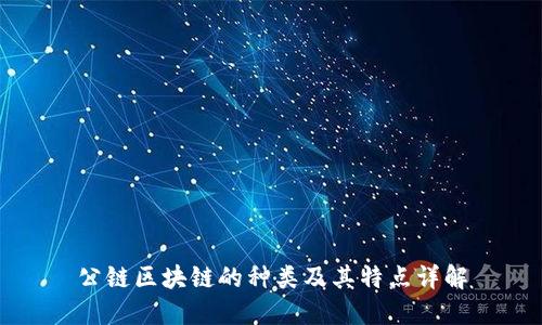 公链区块链的种类及其特点详解