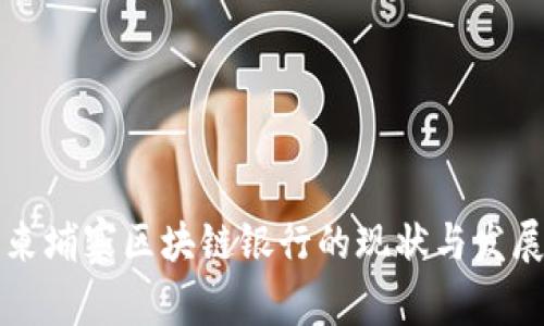 柬埔寨区块链银行的现状与发展