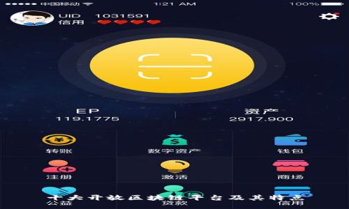 十大开放区块链平台及其特点