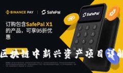 区块链中新兴资产项目详