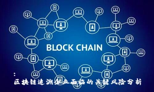 :
区块链追溯企业面临的关键风险分析