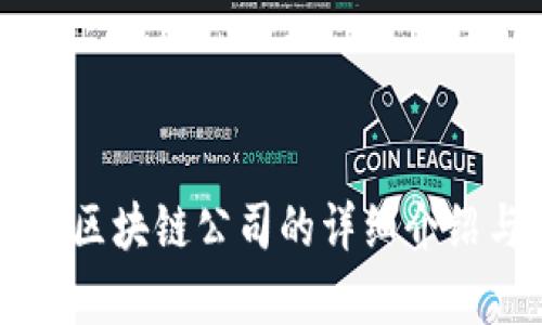 交易型区块链公司的详细介绍与分析