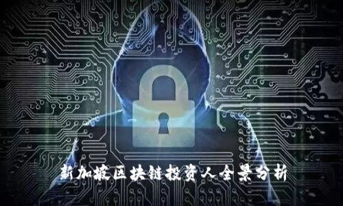 新加坡区块链投资人全景分析