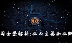 韩国区块链公司全景解析