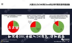 与关键词如何将SOL币放入