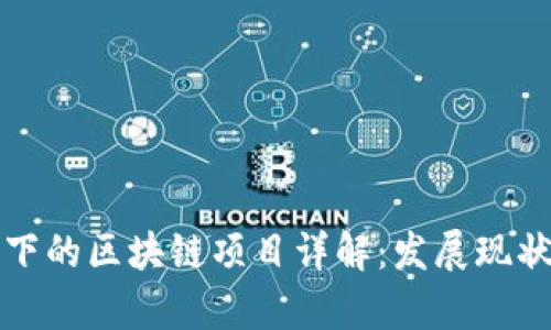东方财富旗下的区块链项目详解：发展现状与未来趋势