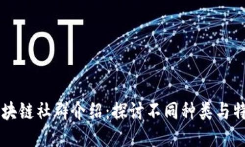 区块链社群介绍：探讨不同种类与特点