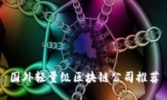 国外轻量级区块链公司推