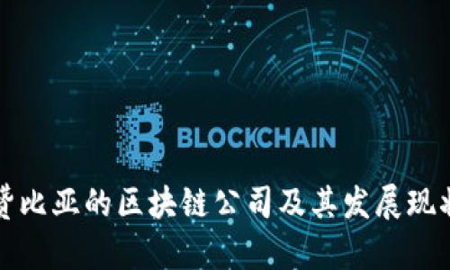 赞比亚的区块链公司及其发展现状