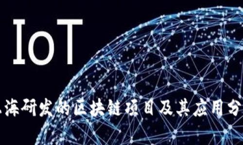 上海研发的区块链项目及其应用分析