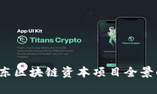  山东区块链资本项目全景解析