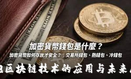   
气泡区块链技术的应用与未来展望