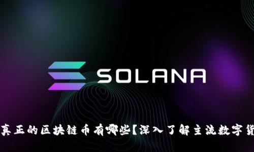 : 真正的区块链币有哪些？深入了解主流数字货币