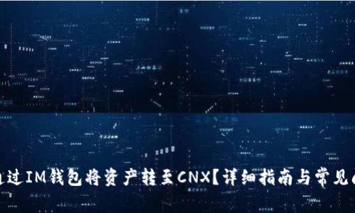 : 如何通过IM钱包将资产转至CNX？详细指南与常见问题解答