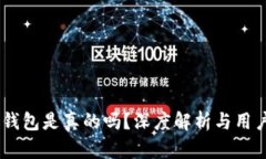 国际版IM钱包是真的吗？深度解析与用户经验分享
