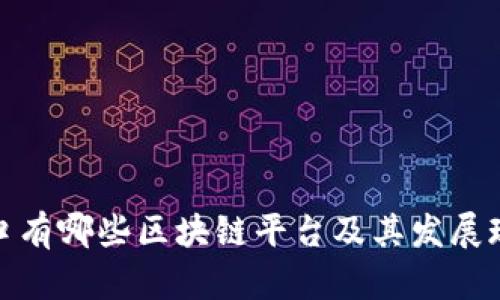 海口有哪些区块链平台及其发展现状