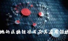 已落地的区块链项目及其