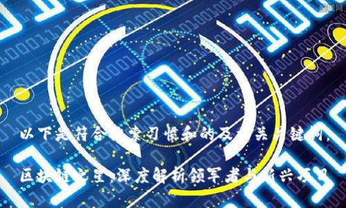 以下是符合搜索习惯和的及相关关键词：

区块链之星：深度解析领军者与新兴项目