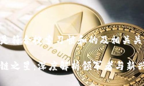 以下是符合搜索习惯和的及相关关键词：

区块链之星：深度解析领军者与新兴项目