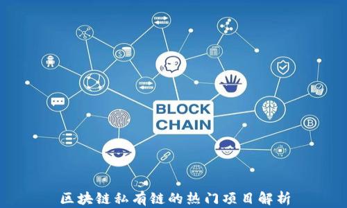 
区块链私有链的热门项目解析