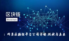 : 网易区块链平台公司详解